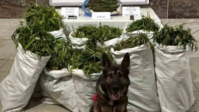 TAVŞANLI’DA EVİNDE YÜKLÜ MİKTARDA KUBAR ESRAR MADDESİ BULUNAN ŞÜPHELİ TUTUKLADI