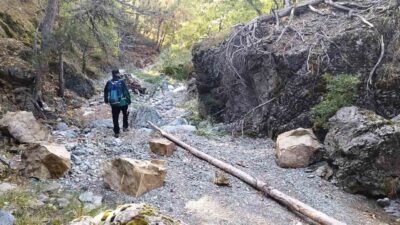 DOMANİÇ’TE KAYBOLAN YAŞLI ADAM İÇİN ARAMA ÇALIŞMASI