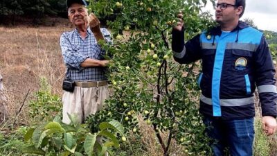 HİSARCIK GÜLDÜREN KÖYÜNDE BAHÇE KONTROLÜ