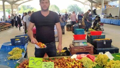 HİSARCIK’TA FİYATI 30 TL’YE DÜŞEN ŞİFA DEPOSU HÜNNAP’A RAĞBET ARTTI