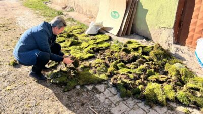 HİSARCIK’TA YOSUN İHRACAT SINIR KONTROLLERİ