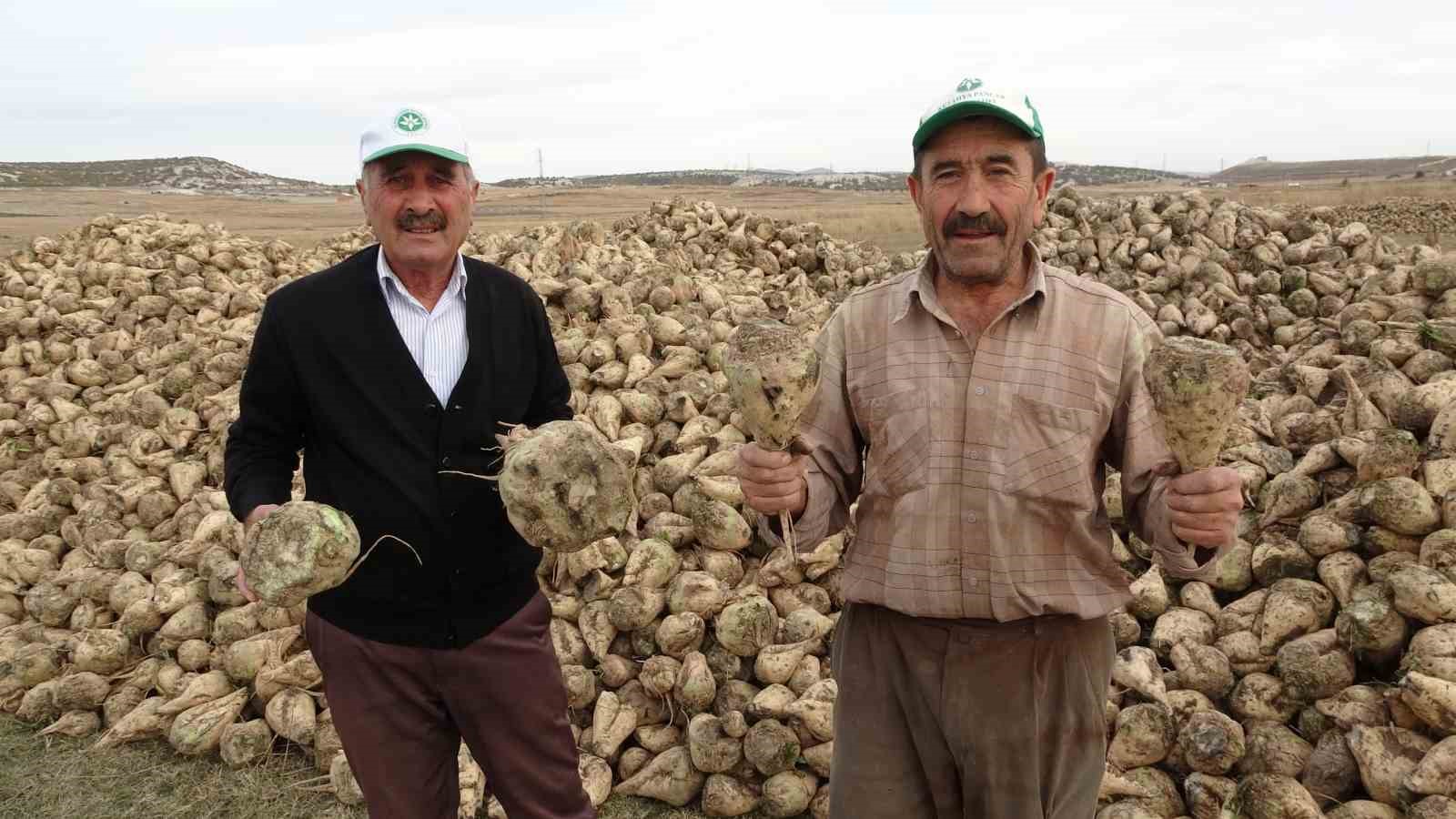 Kütahya’da pancar hasadı başladı