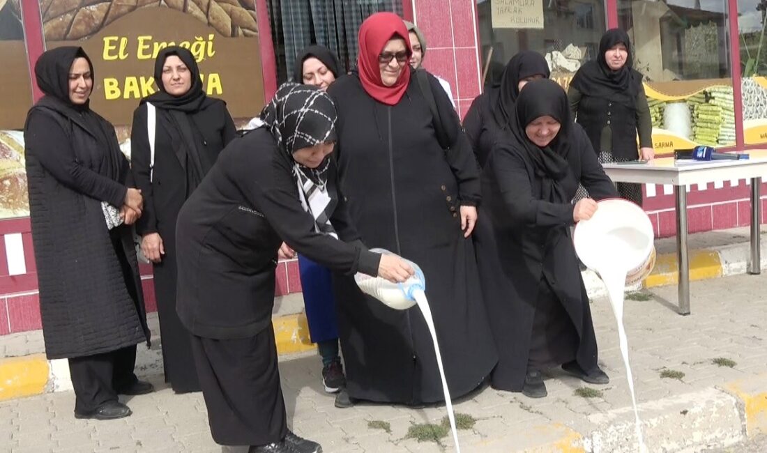 TEPECİK BELDESİ'NDE MANDA SÜTÜ