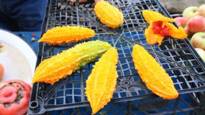 ŞİFA DEPOSU KUDRET NARI KÜTAHYA’DAKİ PAZAR TEZGAHLARINDA YERİNİ ALDI