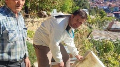 SİMAV’DA ARI KOVANI SAYIMI VE DESTEKLEME İŞLEMLERİ