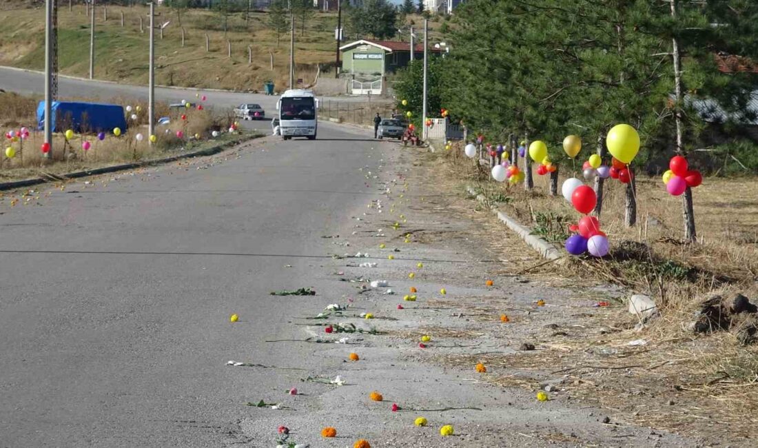 KÜTAHYA'NIN TAVŞANLI İLÇESİNDE, CADDENİN