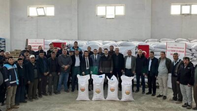 ASLANAPA’DA 386 ÇİFTÇİYE YÜZDE 50 HİBELİ 65 TON 550 KİLO