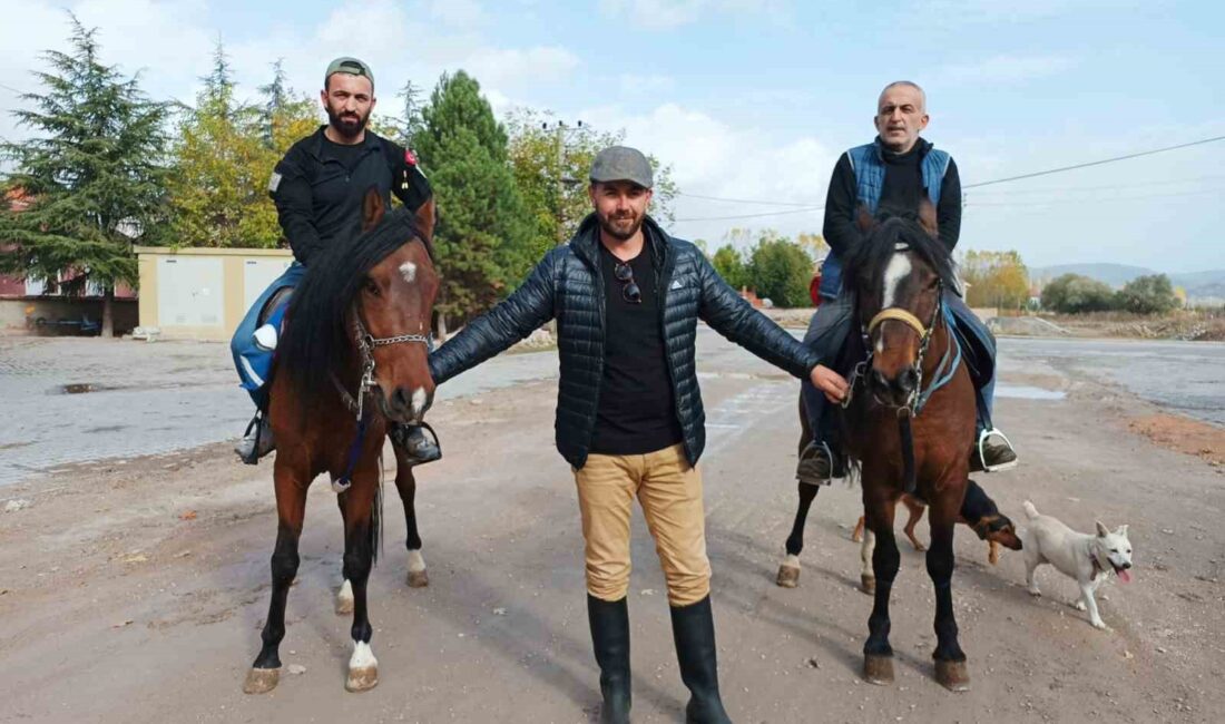 AT SEVERLER TAVŞANLI KURUÇAY'DA