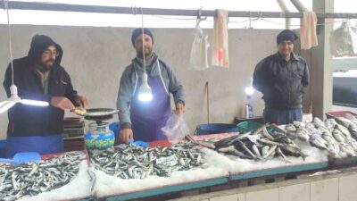 HAVALAR SOĞUDU, BALIK BOLLAŞTI, FİYATLAR DÜŞTÜ