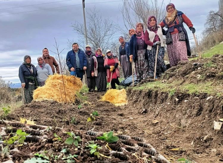 KÜTAHYA’DA GIDA ORMANI ÇALIŞMASI