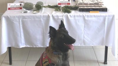 SİMAV’DA JANDARMANIN UYUŞTURUCU VE KAÇAK SİGARA OPERASYONU