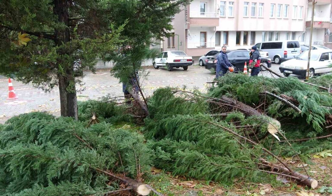 ŞİDDETLİ RÜZGAR YAYA YOLU