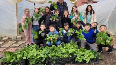 ALTINTAŞ’TA ISPANAK HASADI ŞENLİĞİ