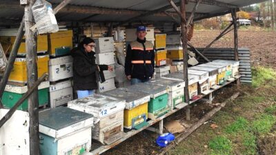 EMET’TE ARILI KOVAN DESTEKLEMESİ TESPİT ÇALIŞMASI