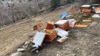 EMET’TE AYILAR 36 KOVANI PARÇALADI ARILAR TELEF OLDU