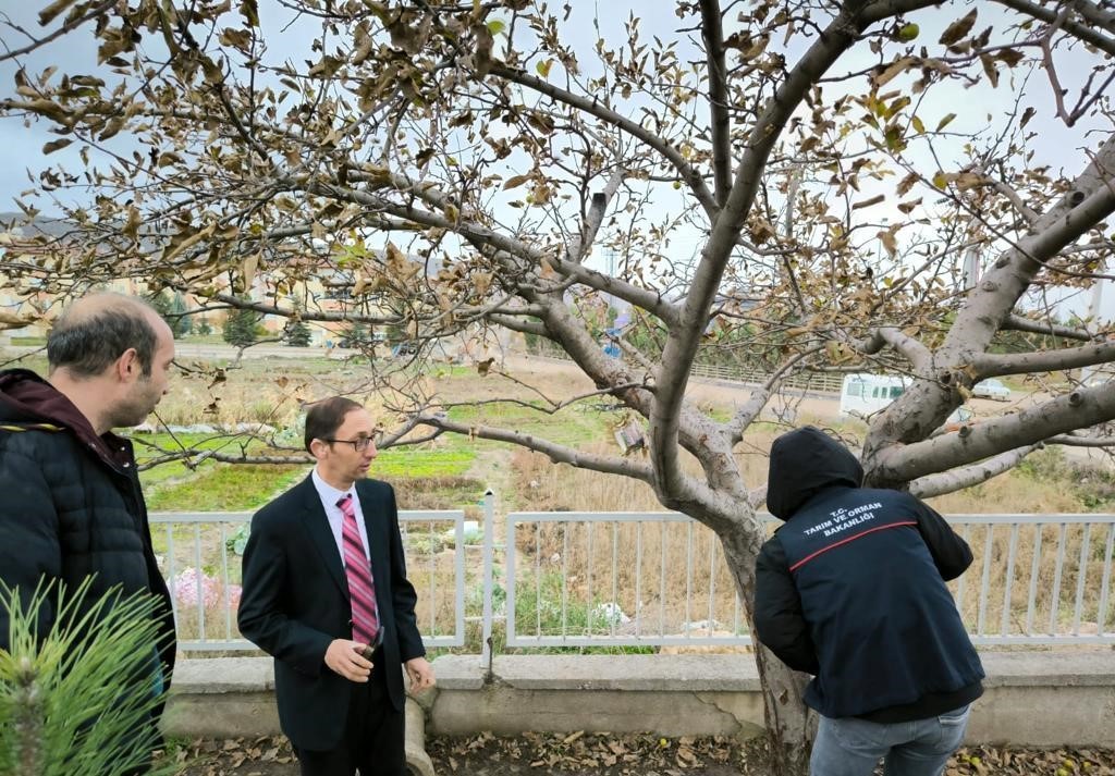 EMET’TE OKUL MÜDÜRÜ MEYVE AĞAÇLARININ BAKIMI KONUSUNDA BİLGİLENDİRİLDİ