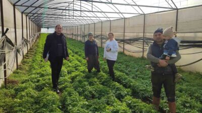 SİMAV’DA SERALARDA KONTROL VE ÖRTÜ ALTI KAYIT GÜNCELLEME İŞLEMLERİ