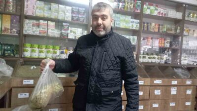 GEDİZ’DE KIŞ AYLARINDA IHLAMURA RAĞBET ARTTI