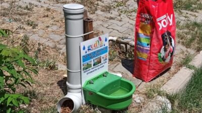 GEDİZ’DE SOKAK HAYVANLARI UNUTULMADI