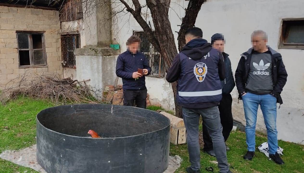 Kütahya’da horoz dövüşüne polis baskını