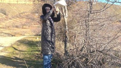 SİMAV’DA AKDENİZ MEYVE SİNEĞİ İLE MÜCADELE ÇALIŞMALARI