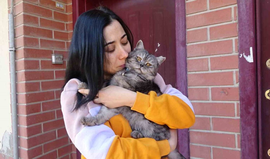 TAVŞANLI İLÇESİNDE KAYIP OLARAK ARANAN KEDİ 10 GÜN SONRA BULUNDU