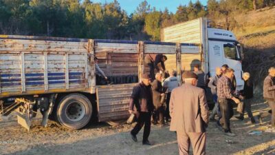 TAVŞANLI’DA KÖYLÜLERE 750 HÜNNAP FİDANI DAĞITILDI