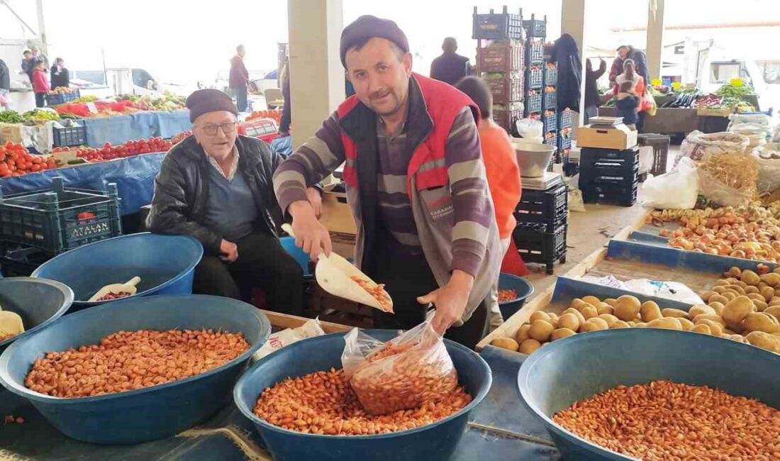 TOHUMLUK KURU SOĞANIN FİYATI