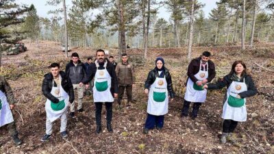 ALTINTAŞ VE DUMLUPINAR KAYMAKAMLARI KARAÇAM TOHUMU EKİMİ YAPTI