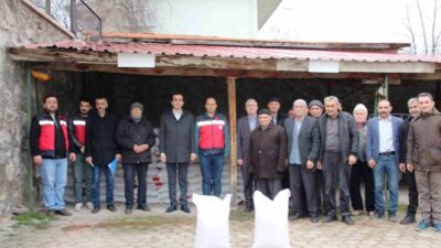 DOMANİÇ’TE 43 ÜRETİCİYE YÜZDE 50 HİBELİ 4 BİN 350 KİLO