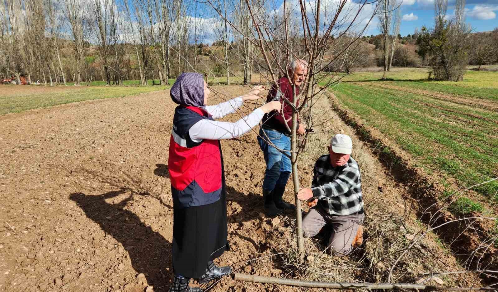 Hisarcık’ta meyve ağaçlarında uygulamalı budama eğitimi