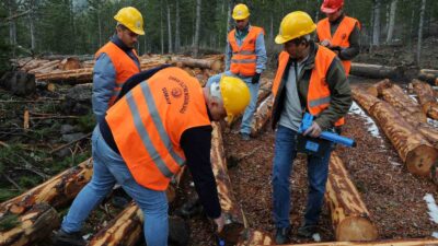 KÜTAHYA OBM'DE BARKODLU ORMAN EMVALLERİ İHALEDE