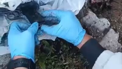 KÜTAHYA VE AFYONKARAHİSAR’DA KAÇAK SİLAH TİCARETİ OPERASYONUNDA 1 KİŞİ TUTUKLANDI