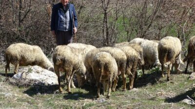 KÜTAHYA’DA 4 BİN 408 ÜRETİCİYE 26 MİLYON 680 BİN 880