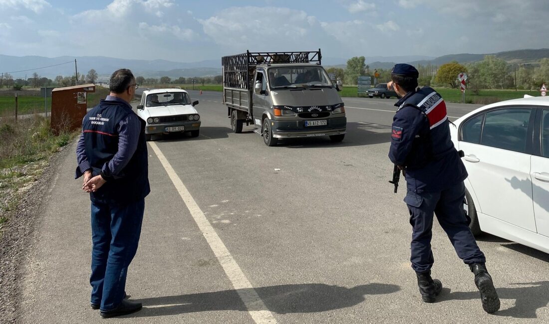 EMET’TE HAYVAN HAREKETLERİ YOL