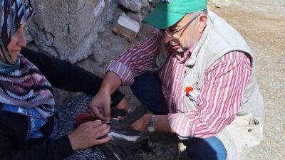 EMET’TE KANATLI HAYVANLARDAN KAN VE SWAP NUMUNELERİ ALINDI