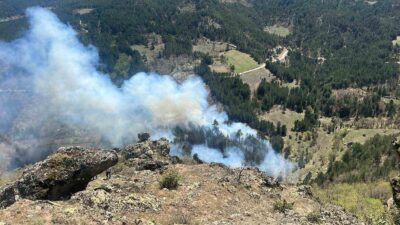 GEDİZ’DE 2 HEKTARLIK ORMANLIK ALAN KÜL OLDU