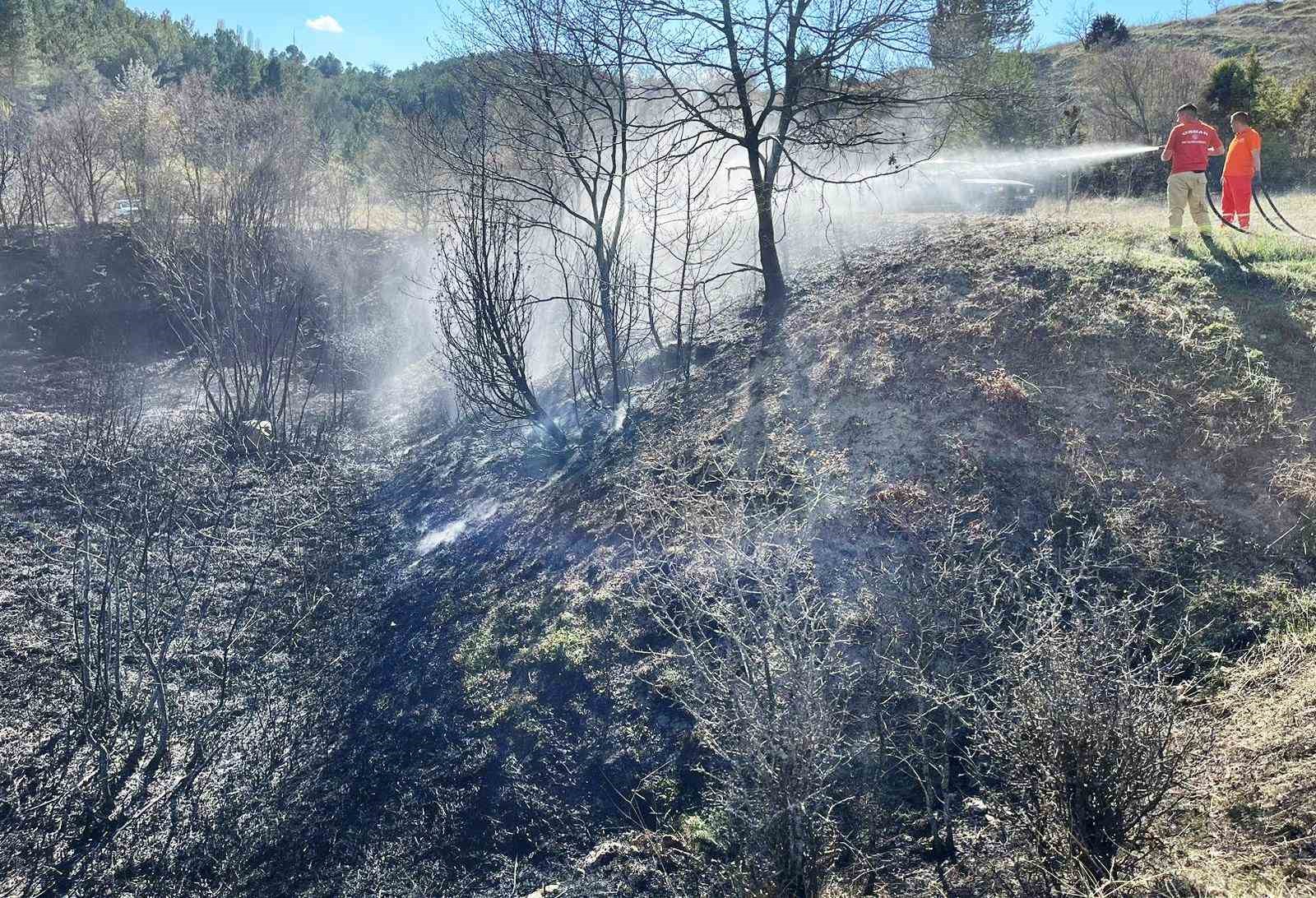 Hisarcık’ta ot yangını korkuttu