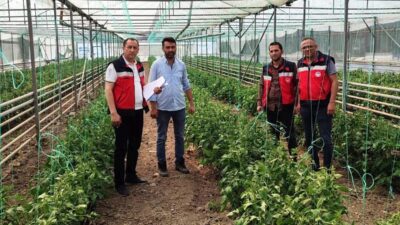 SİMAV’DA YENİ SERALARIN TESPİTLERİ VE ÜRÜN KONTROLLERİ