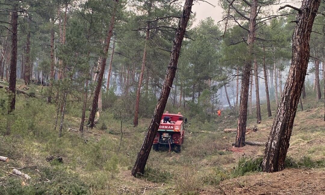 TAVŞANLI'DA ORMAN YANGINI
