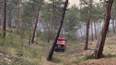 TAVŞANLI'DA ORMAN YANGINI