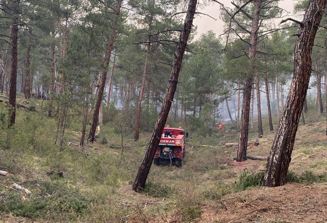 Tavşanlı’da orman yangını