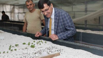 BAŞKAN KAHVECİ TIBBİ VE AROMATİK BİTKİ MERKEZİNİ İNCELEDİ