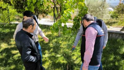 EMET’TE ÇİFTÇİLERE UYGULAMALI BUDAMA VE AŞILAMA EĞİTİMİ