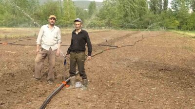 HİSARCIK’TA KURAKLIK PANCAR ÜRETİCİSİNİ VURDU