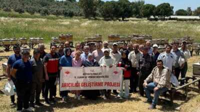 KÜTAHYA'DA ANA ARI VE ARI SÜTÜ ÜRETİMİ KURSU