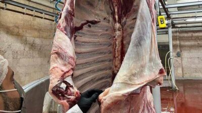 KÜTAHYA’DA MEZBAHA KONTROLLERİ