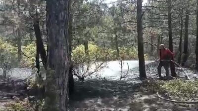 KÜTAHYA'DA ORMAN YANGINI BÜYÜMEDEN SÖNDÜRÜLDÜ