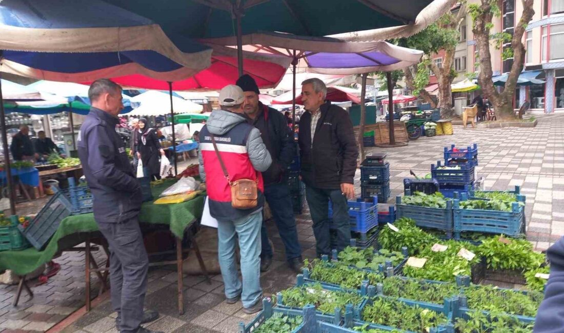 TAVŞANLI’DA FİDE SATIŞI YAPAN