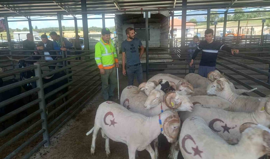 GEDİZ’DE KURBANLIKLAR GÖRÜCÜYE ÇIKTI